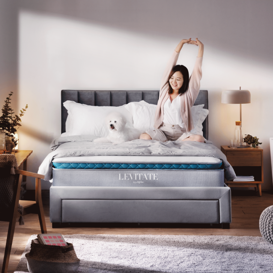 dream simple soft mattress